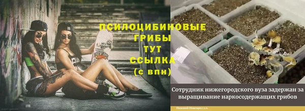 СК Абинск