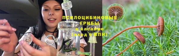 СК Абинск