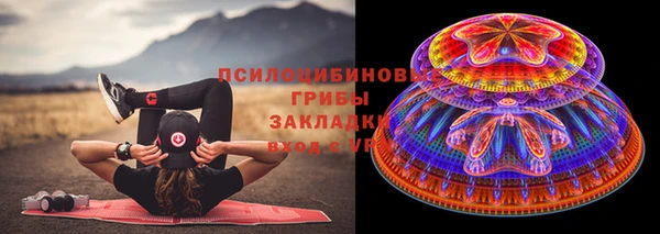 СК Абинск