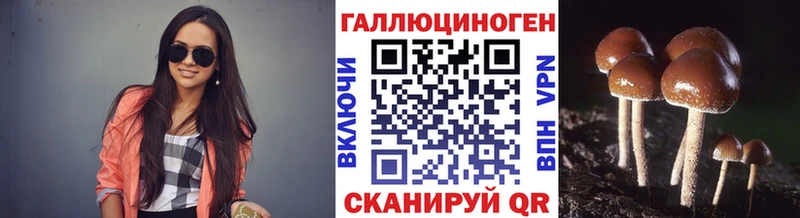 Галлюциногенные грибы Magic Shrooms  купить  цена  Торопец 